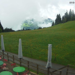 Webcam Alpengasthof Brüggele / Alberschwende