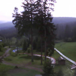 Webcam Alte Golfwiese / Oberhof