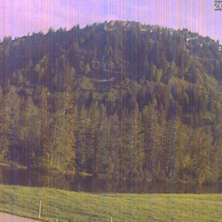Webcam Alpe Hörmoos / Oberstaufen - Steibis