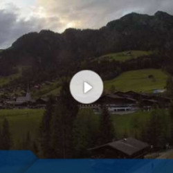 Webcam Feilmoos / Alpbachtal