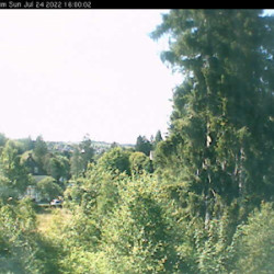 Webcam Villa Clara / Altenau - Auf der Rose