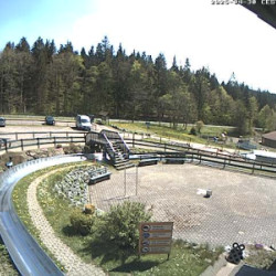 Webcam Sommerrodelbahn / Tabarz - Inselsberg - Datenberg