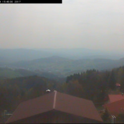 Webcam  / Sonnenwald