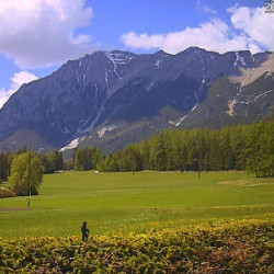 Webcam  / Obsteig - Grünberg