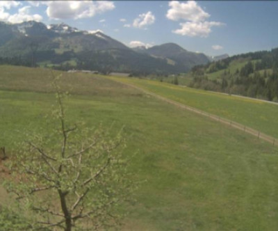 Pillersee - Hochfilzen / Tirol