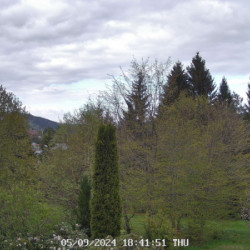 Webcam  / Altglashütten