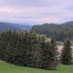 Webcam Bärental / Altglashütten