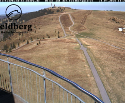 Feldberg / Schwarzwald