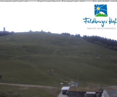 Feldberg / Schwarzwald