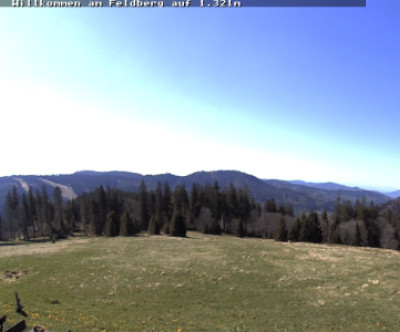 Feldberg / Schwarzwald