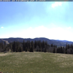 Webcam Todtnauer Hütte / Feldberg