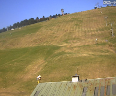 Feldberg / Schwarzwald