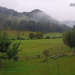 Webcam Richtung Möslelift / Menzenschwand