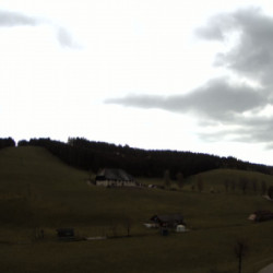 Webcam Lifte / Waldau - Schneeberglifte