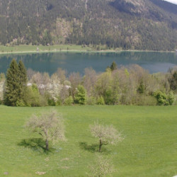 Webcam Naglerhof / Weissensee