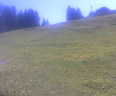 Gröllerkopf - Übersaxen / Vorarlberg