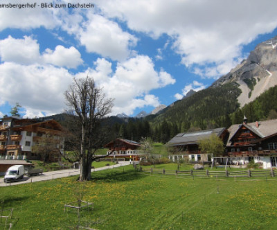 Rittisberg / Steiermark