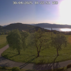 Webcam Schöberinger hof / Weyregg am Attersee