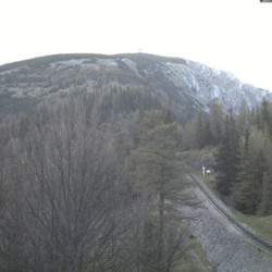 Webcam Baumgartner Bergblick / Puchberg