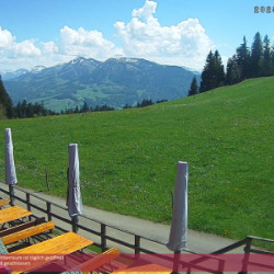 Webcam Alpengasthof Brüggele / Alberschwende