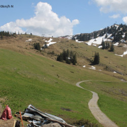 Webcam Skigebiet / Andelsbuch