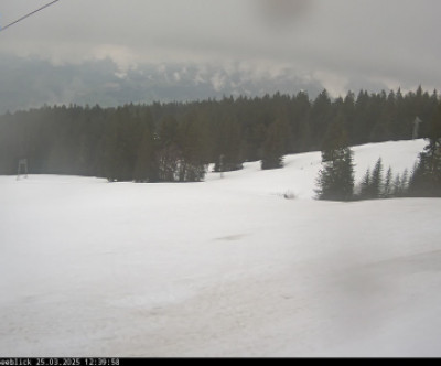 Schwarzenberg - Bödele / Vorarlberg