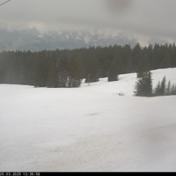 Webcam Berg / Schwarzenberg - Bödele