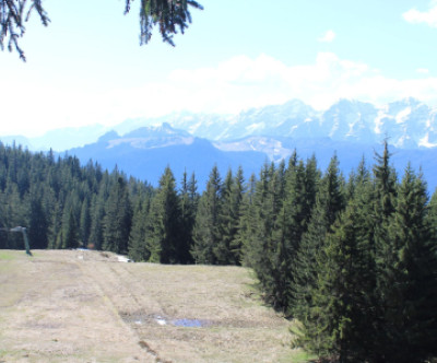 Unken - Heutal / Salzburger Land