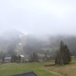 Webcam Alpenrose / Unken - Heutal