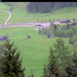 Webcam Kinderland 3 / Donnersbachwald - Riesneralm