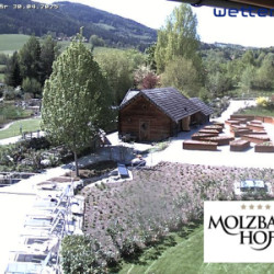 Webcam Molzbachhof / Kirchberg am Wechsel