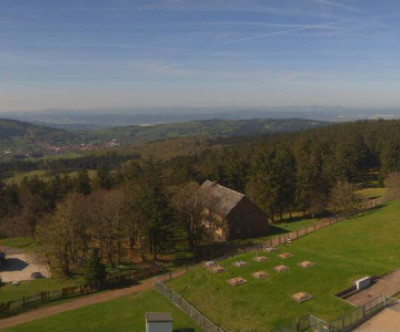 Tabarz - Inselsberg - Datenberg / Thüringer Wald