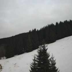 Webcam Svadlenka / Rokytnice n. Jizerou