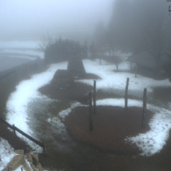 Webcam Bergsee / Willingen - Winterpark - Ettelsberg