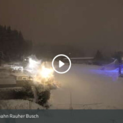Webcam Rauher Busch / Winterberg