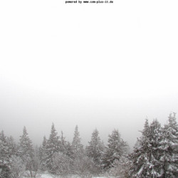 Webcam Bodenmaiser Tal / Bodenmais - Silberberg