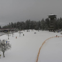 Webcam  / Bischofsmais - Geisskopf