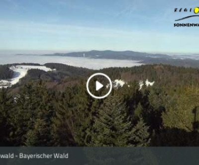 Sonnenwald / Bayerischer Wald