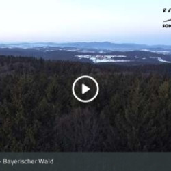 Webcam  / Sonnenwald