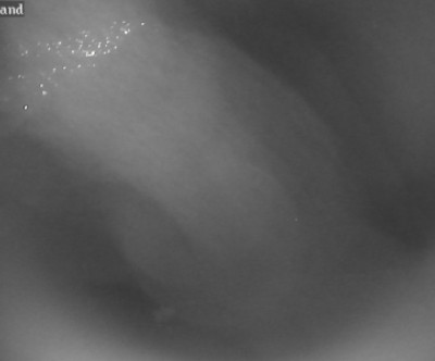 Lenggries - Brauneck / Oberbayern