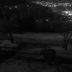 Webcam Tegernsee / Rottach-Egern - Wallberg