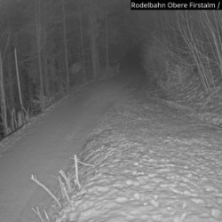 Webcam Rodelbahn / Spitzingsee-Tegernsee