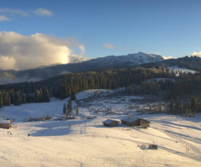 Reit im Winkl - Winklmoosalm / Oberbayern