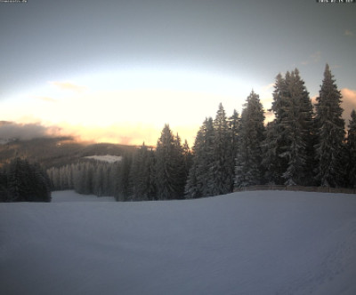 Reit im Winkl - Winklmoosalm / Oberbayern