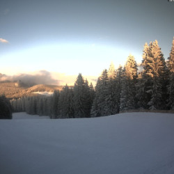 Webcam Scheibelberg / Reit im Winkl - Winklmoosalm