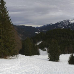 Webcam  / Buching - Buchenberg