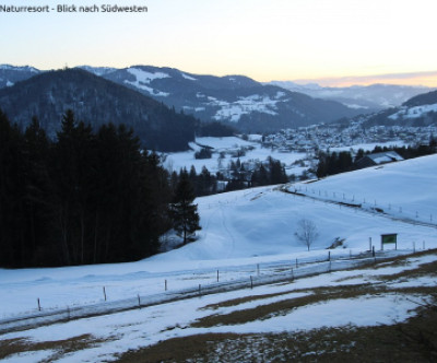 Oberstaufen - Hochgrat / Allgäu