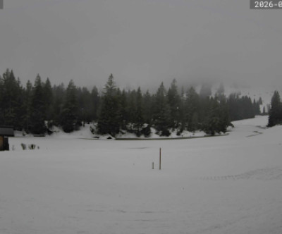 Oberstaufen - Hündle / Allgäu