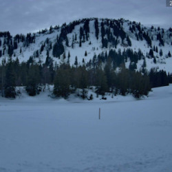 Webcam Alpe Hörmoos / Oberstaufen - Steibis