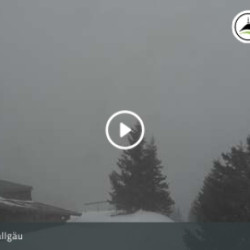 Webcam  / Rettenberg - Grünten